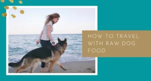 How to Travel with Raw Dog Food