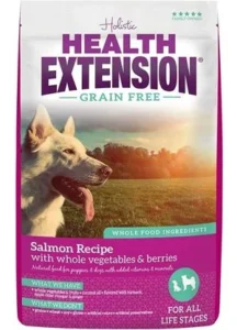 Health Extension Grain-Free Salmon Recipe