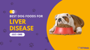 best-dog-food-for-liver-disease-780x439