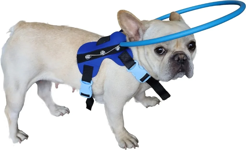 Accessories for blind dogs