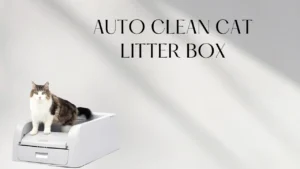 Auto clean cat litter box