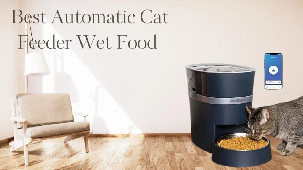 Best automatic cat feeder wet food