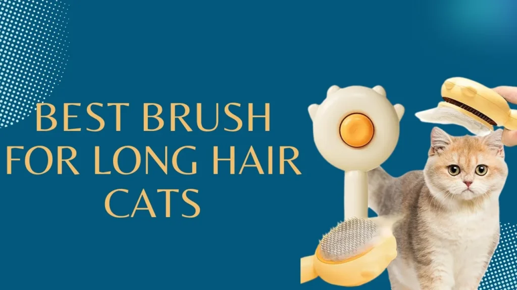 Best brush for long hair cats