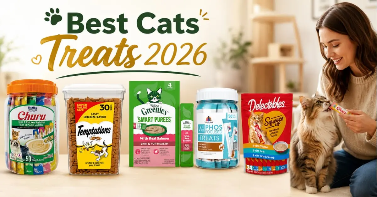 Best cats treats 2026 — top 5 picks compared