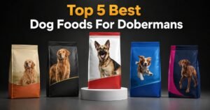 Top 5 best dog foods for Dobermans compared