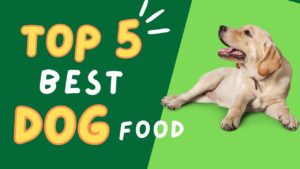 Best dog food for pitbull puppies