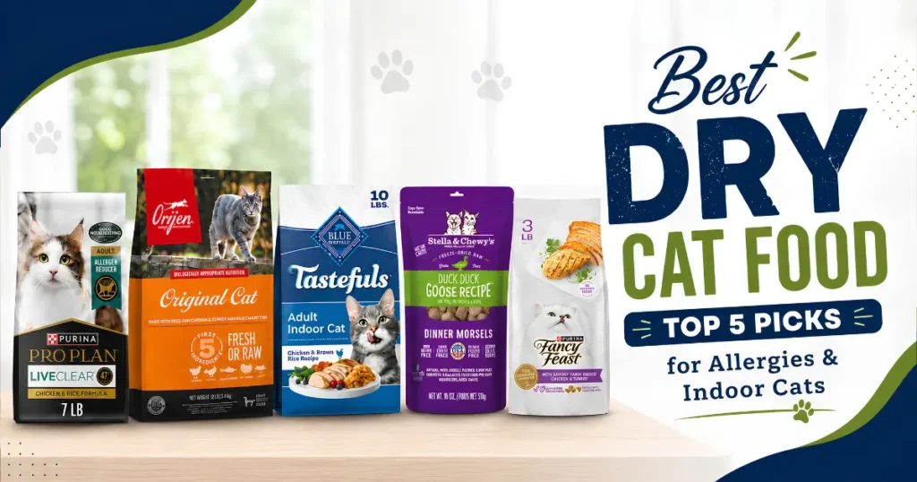 Best dry cat food — Purina Pro Plan, Blue Buffalo, Stella & Chewy's, ORIJEN, and Purina Fancy Feast compared