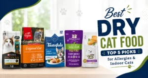 Best dry cat food — Purina Pro Plan, Blue Buffalo, Stella & Chewy's, ORIJEN, and Purina Fancy Feast compared