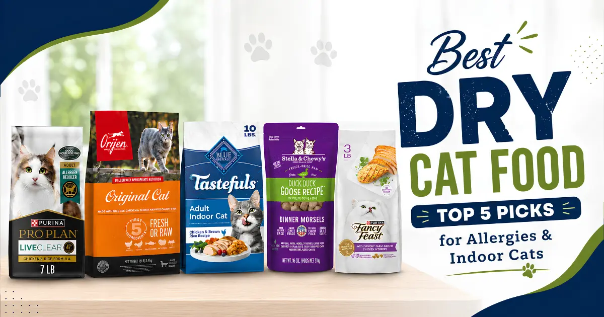 Best dry cat food — Purina Pro Plan, Blue Buffalo, Stella & Chewy's, ORIJEN, and Purina Fancy Feast compared