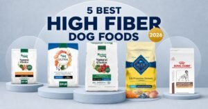 5 best high-fiber dog foods compared