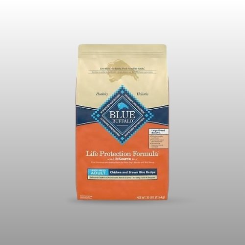 Blue Buffalo Life Protection large breed dry dog food chicken and brown rice
