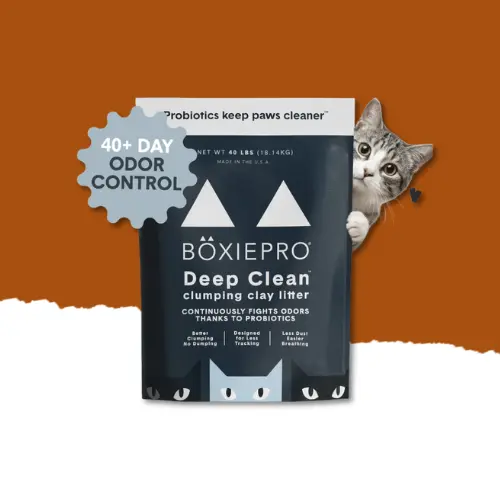 Boxie Probiotic clumping cat litter 40 lb bag