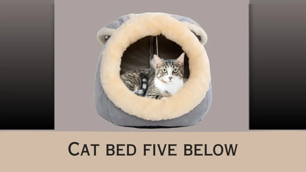 Cat bed five below