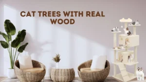 Cat trees with real wood