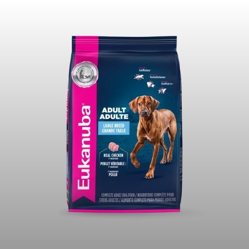 Eukanuba adult large breed dry dog food chicken