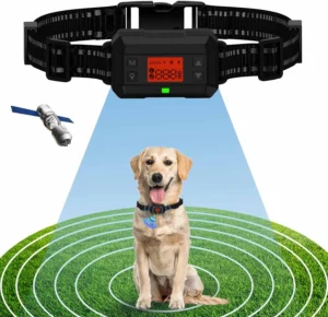 Exploring the HGFLMR GPS Wireless Dog Fence