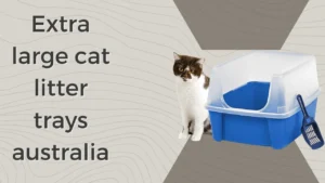 Extra large cat litter trays australia