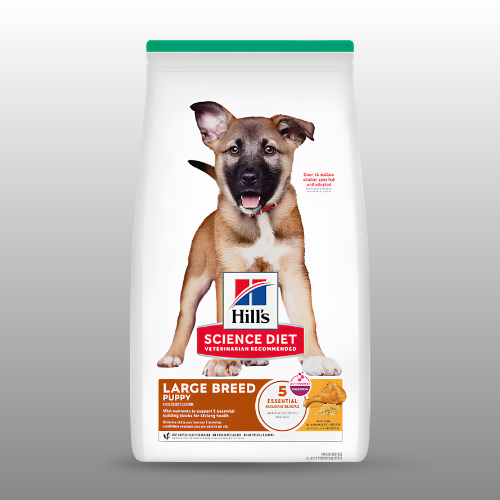 Hill's Science Diet Puppy Large Breed dry dog food, Chicken and Brown Rice, 27.5