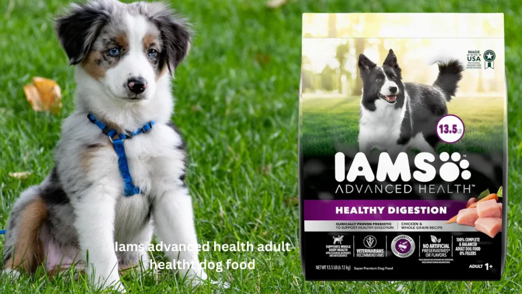 IAMS Advanced Health Adult Healthy Digestion Dry Dog Food with Real Chicken, 13.5 lb. Bag