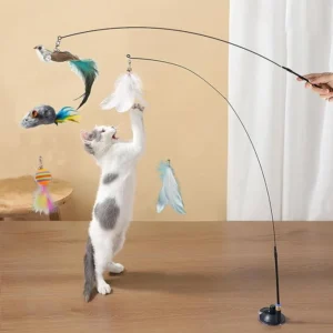 Madgern Cat Feather Toys