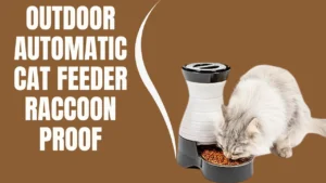 Outdoor automatic cat feeder raccoon proof