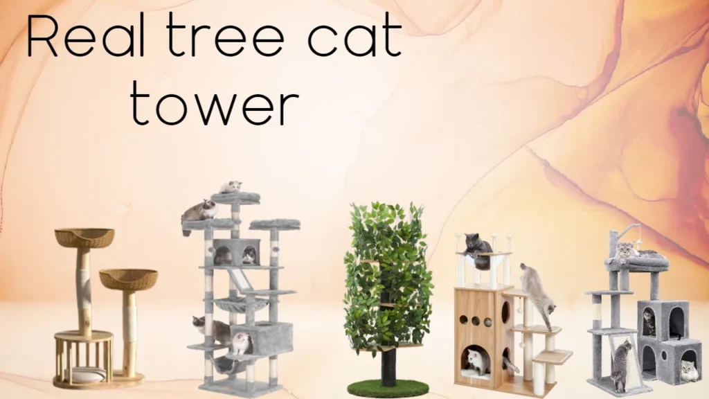 Real tree cat tower