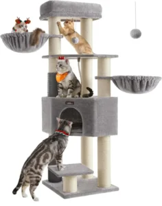Unique cat trees for large cats