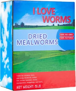 Dried Mealworms (5lb): A Nutritious Treat for Your Feathered Friends
