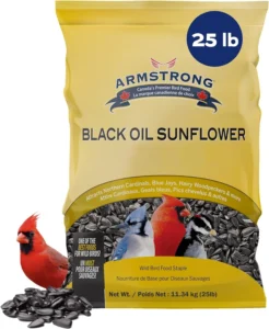 Armstrong Wild Bird Food Black Oil Sunflower Bird Seed: Your Birds' Favorite Meal