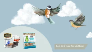 Best bird food for wild birds