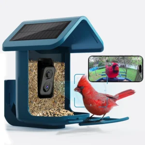 Bird Feeder with Camera: A Revolution in Bird Watching