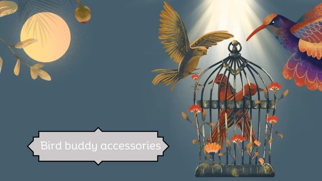 Bird buddy accessories