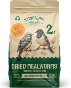 Enhance Your Bird's Diet with Premium 2 lbs Dried Mealworms – A Healthy Choice for Wild Birds