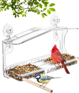 Window Bird Feeders with Strong Suction Cups: Enjoy Nature Up Close