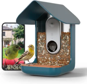 Experience the Wonders of Nature with BIRD BUDDY® Smart Bird Feeder with HD Camera