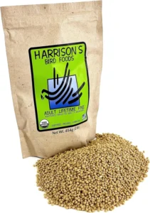 Nourishing Your Feathered Companion: Exploring Harrison's Bird Foods Adult Lifetime Fine 1lb Certified