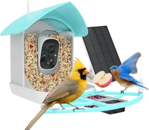 Smart Bird Feeder with Camera: Enhancing Your Bird Watching Experience
