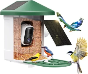 Unlocking the Wonders of Nature: Bird Feeder with Camera with AI Identify Bird Species Solar Panel