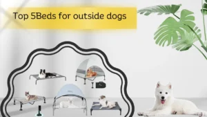 beds for outside dogs