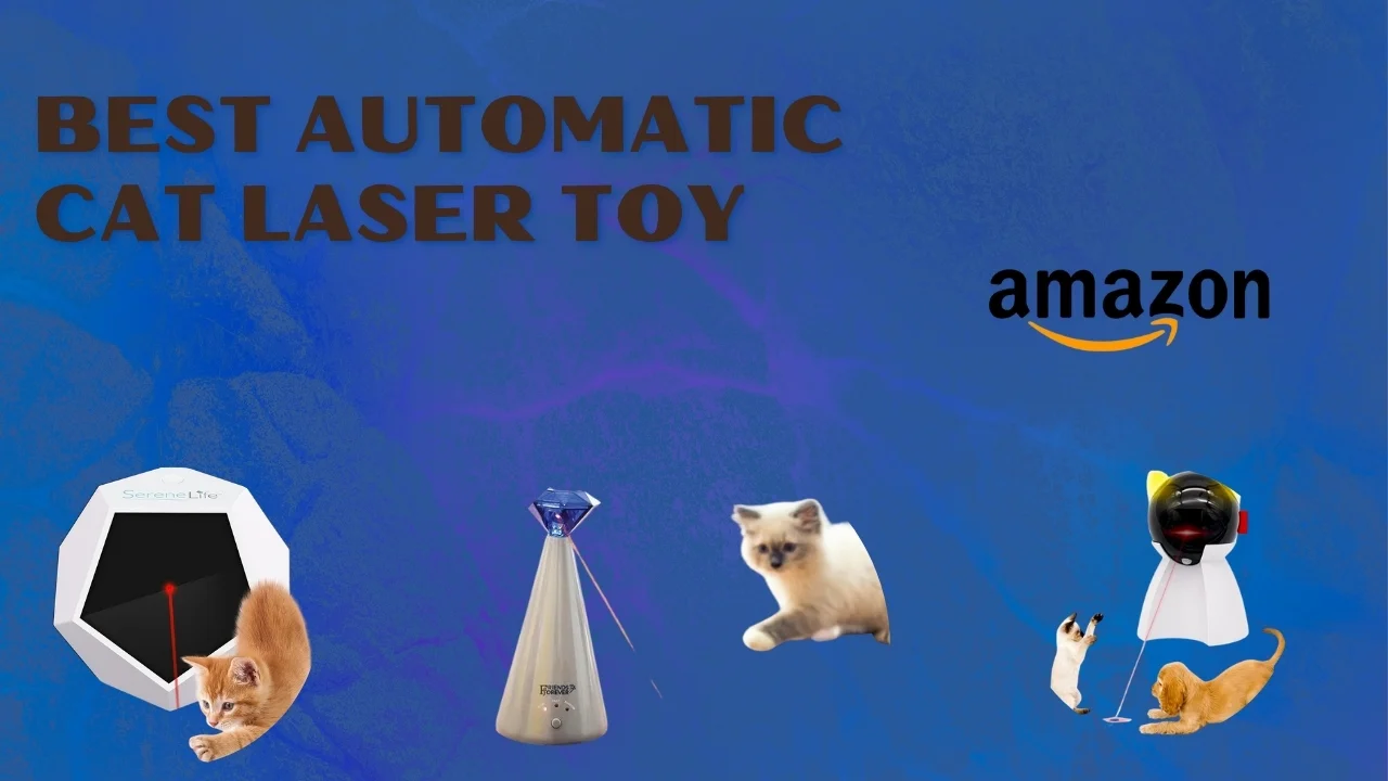 Best automatic cat laser toy