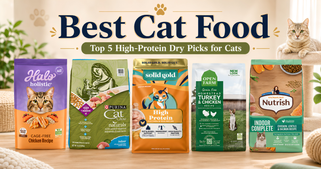 Best cat food — top 5 high-protein dry picks for cats