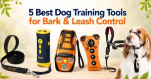 best dog training tools for bark and leash control