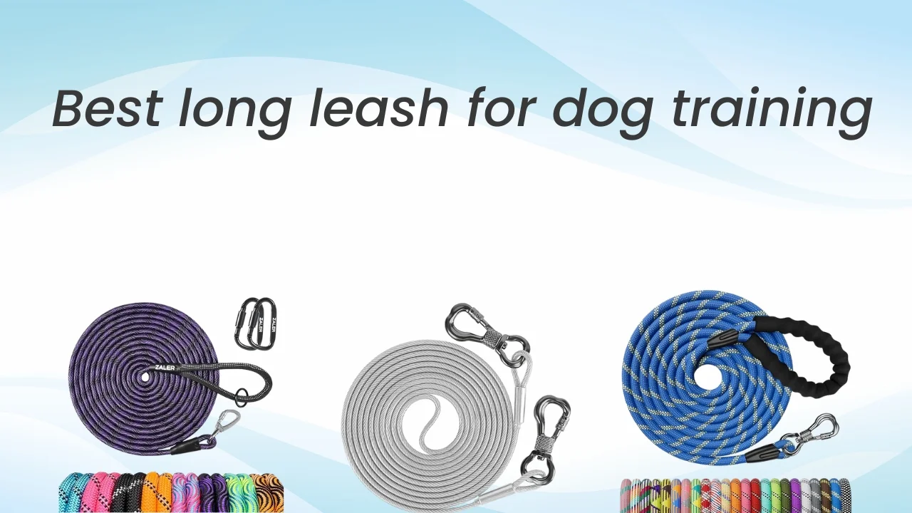 Best long leash for dog training