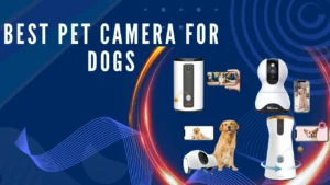 Best pet camera for dogs