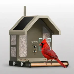 Birdfy Metal 2 full-metal smart bird feeder camera