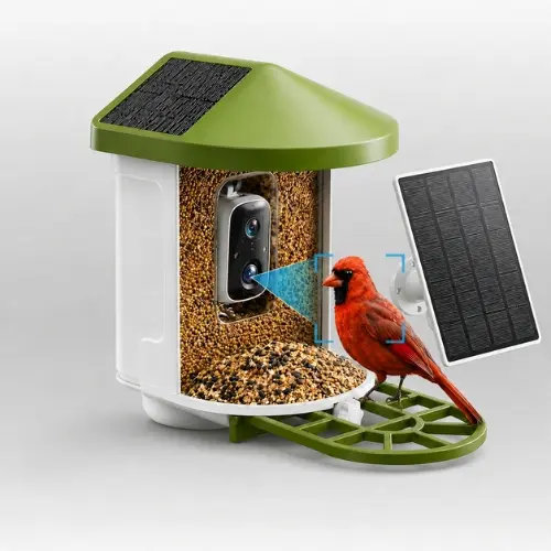 Birvio solar smart bird feeder camera in green