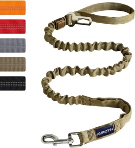 Bungee Dog Leash for Shock Absorption