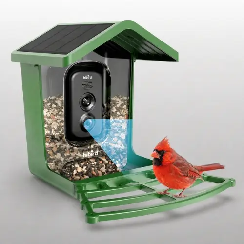 Camojojo Hibird Pro 4K smart bird feeder camera in green
