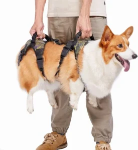 Coodeo Dog Lift Harness
