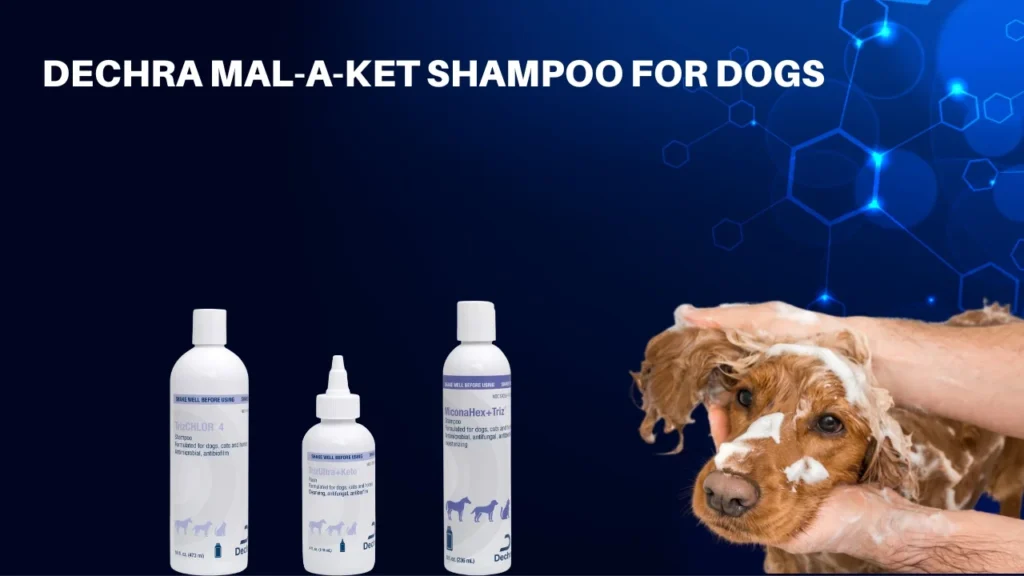 Dechra mal-a-ket shampoo for dogs